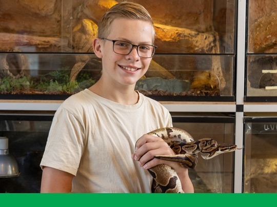 profiel groen